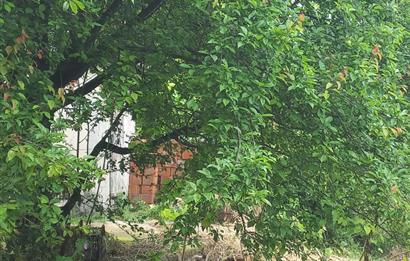 C.21LOCA'DAN SUSURLUK BABAKÖYDE MÜKEMMEL BAHÇELİ KÖY EVİ