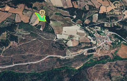 C21 BAL'dan ALTIEYLÜL KİRAZPINAR KÖYÜNDE SATILIK TARLA
