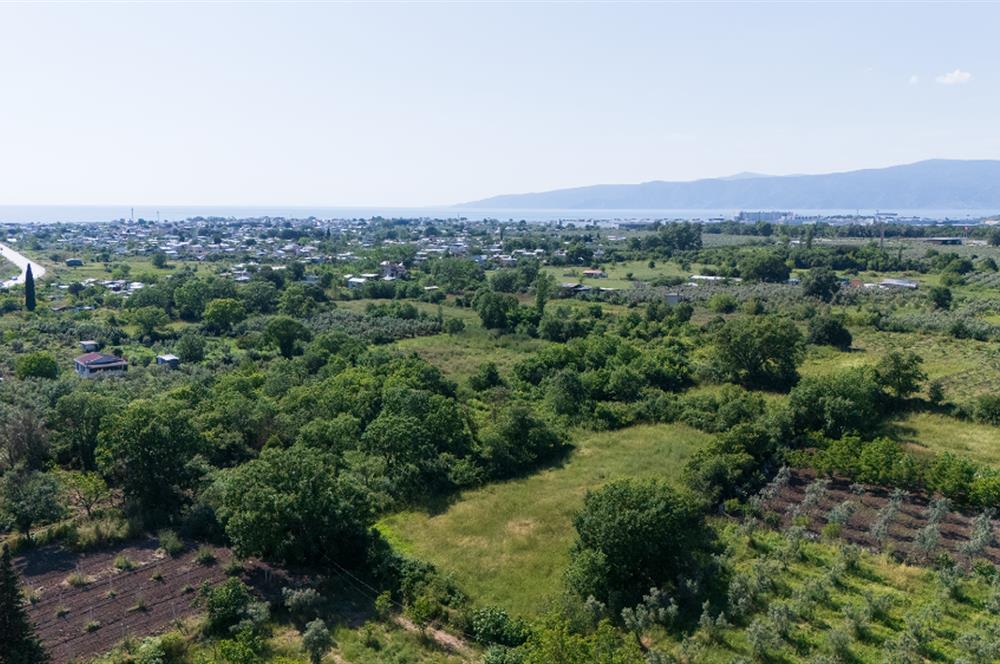 C21 Cius; Gençali'de Resmi Yola Yakın 3192 m2 Satılık Tarla