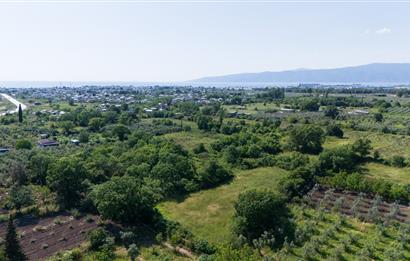 C21 Cius; Gençali'de Resmi Yola Yakın 3192 m2 Satılık Tarla