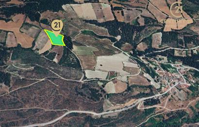 C21 BAL'dan ALTIEYLÜL KİRAZPINAR KÖYÜNDE SATILIK TARLA