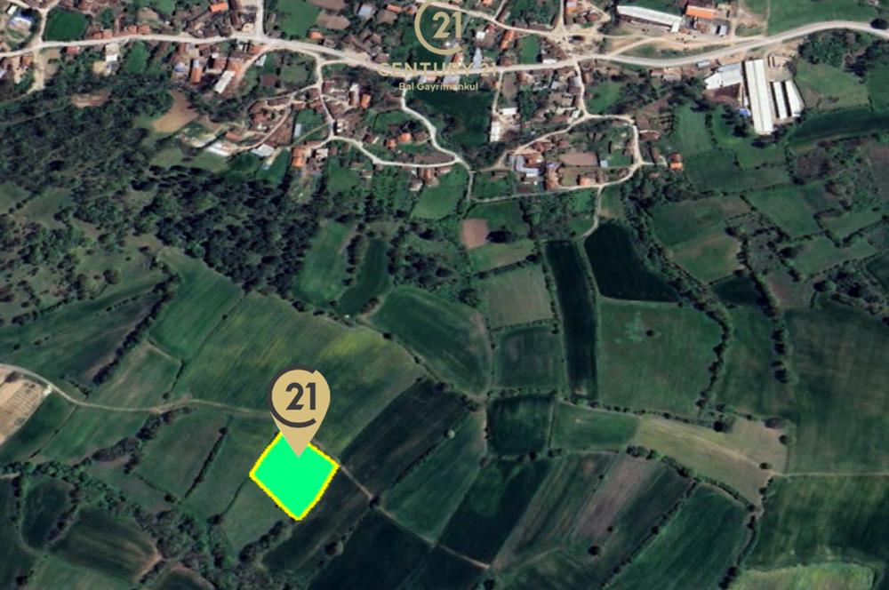 C21 BAL'dan KARESİ KURTDERE MAHALLESİNDE SATILIK TARLA