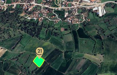 C21 BAL'dan KARESİ KURTDERE MAHALLESİNDE SATILIK TARLA