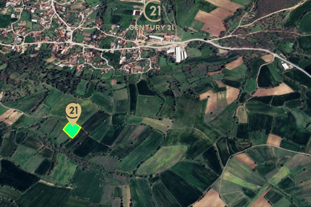 C21 BAL'dan KARESİ KURTDERE MAHALLESİNDE SATILIK TARLA