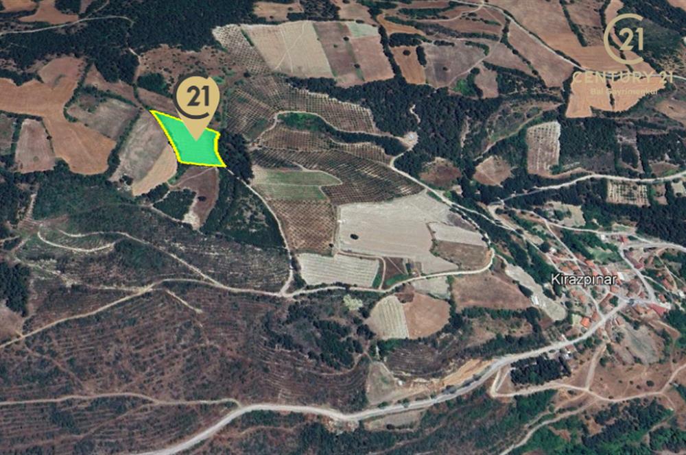 C21 BAL'dan ALTIEYLÜL KİRAZPINAR KÖYÜNDE SATILIK TARLA