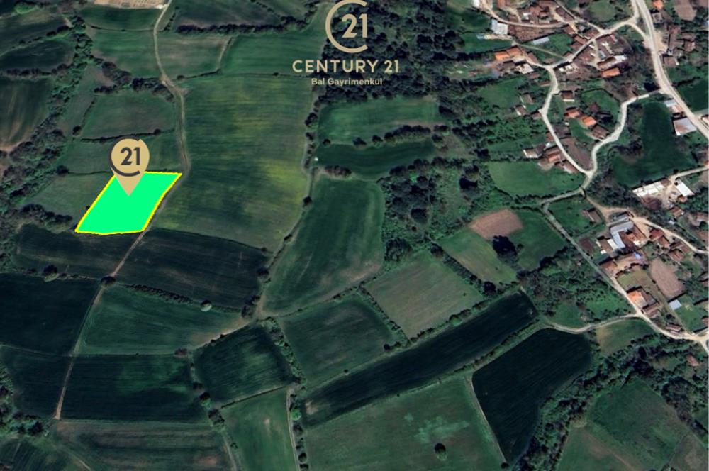C21 BAL'dan KARESİ KURTDERE MAHALLESİNDE SATILIK TARLA