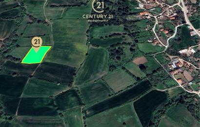 C21 BAL'dan KARESİ KURTDERE MAHALLESİNDE SATILIK TARLA