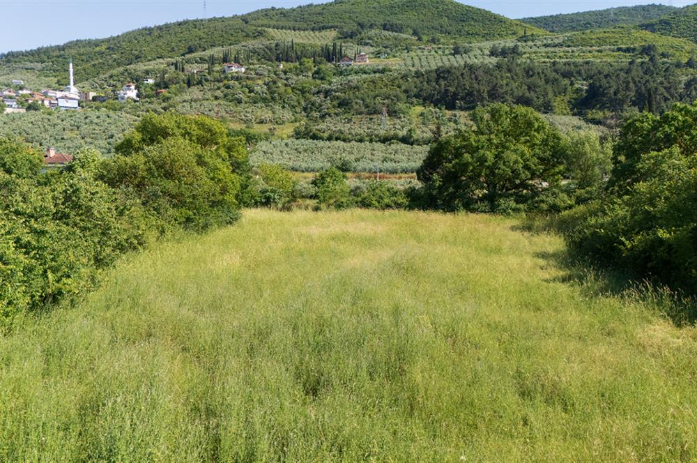 C21 Cius; Gençali'de Resmi Yola Yakın 3192 m2 Satılık Tarla