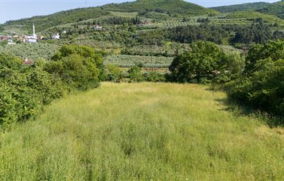 C21 Cius; Gençali'de Resmi Yola Yakın 3192 m2 Satılık Tarla