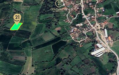 C21 BAL'dan KARESİ KURTDERE MAHALLESİNDE SATILIK TARLA