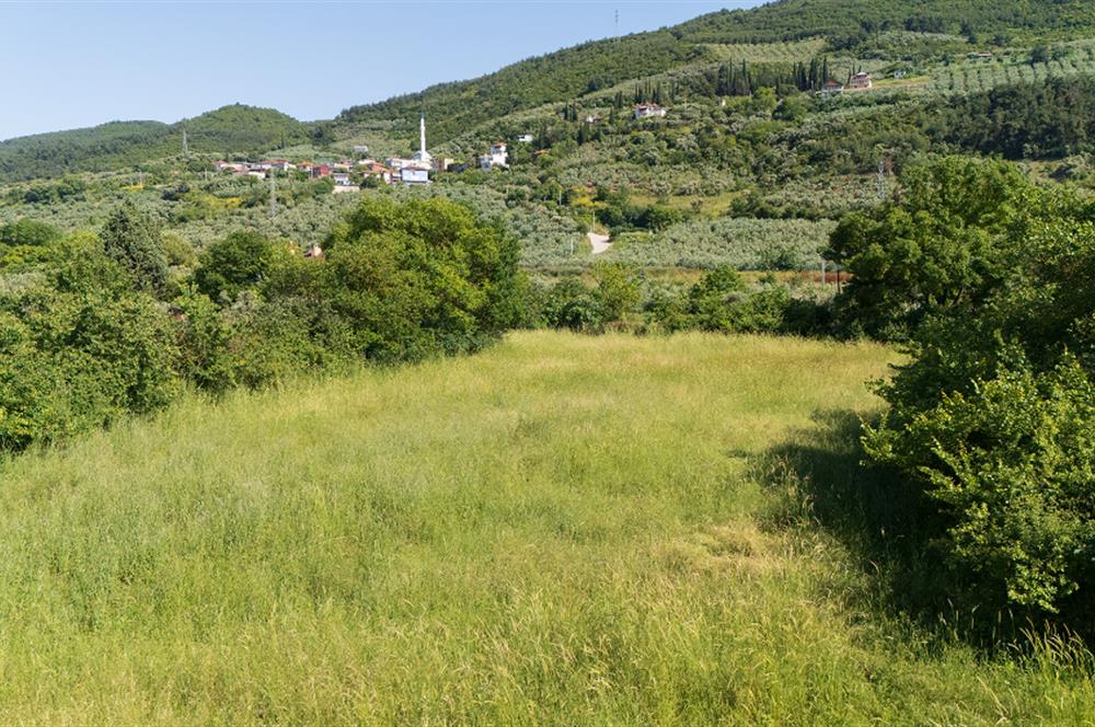 C21 Cius; Gençali'de Resmi Yola Yakın 3192 m2 Satılık Tarla
