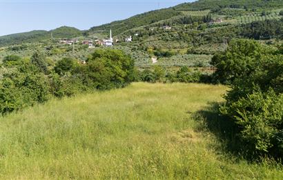 C21 Cius; Gençali'de Resmi Yola Yakın 3192 m2 Satılık Tarla