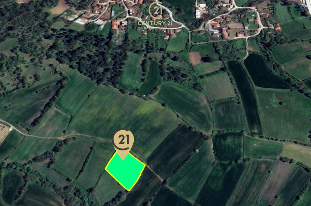 C21 BAL'dan KARESİ KURTDERE MAHALLESİNDE SATILIK TARLA