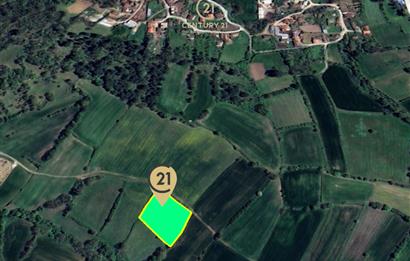 C21 BAL'dan KARESİ KURTDERE MAHALLESİNDE SATILIK TARLA
