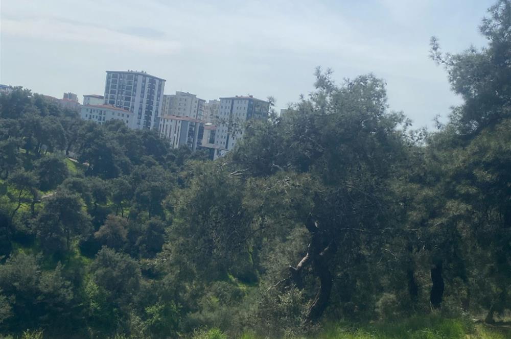 TUZLA AYDINLIDA TOKİ KONUTLARININ HEMEN YANINDA SATILIK ARSA