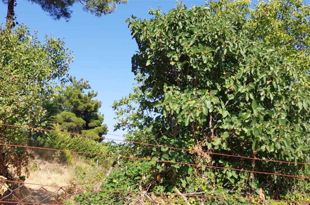C21 BAL2DAN KONAKPINAR'DA 2 KAT İMARLI SATILIK KÖY ARSASI
