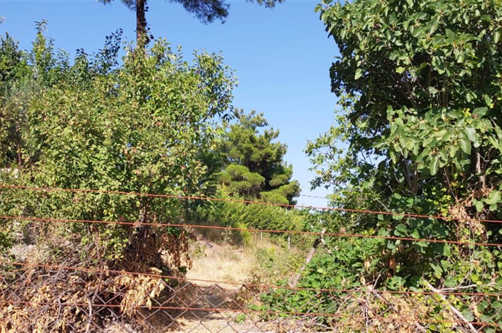 C21 BAL2DAN KONAKPINAR'DA 2 KAT İMARLI SATILIK KÖY ARSASI