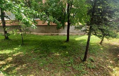 ERYAMANDA ARA KATTA 3+1,130m2 KOMBİLİ