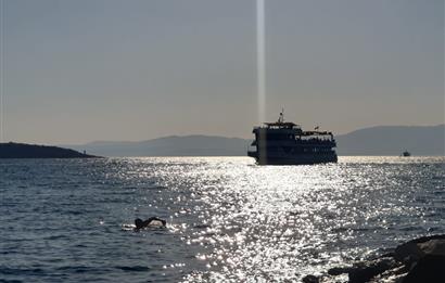 Çeşme Merkez'de Muhteşem Deniz Manzaralı 101 Günlük Kiralık
