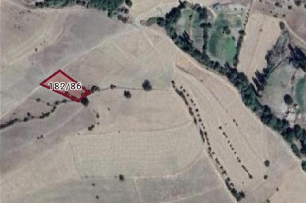 Fırsat Fiyata! Osmancık Tepeyolaltı'nda 955 m² Kelepir Tarla