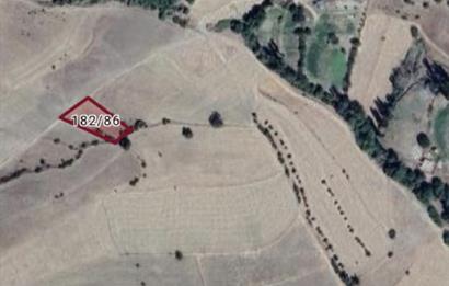 Fırsat Fiyata! Osmancık Tepeyolaltı'nda 955 m² Kelepir Tarla