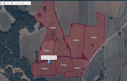 CENTURY 21 VİZYONDAN YENİPAZARDA 5.112 M2 SATILIK TARLA