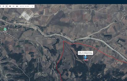CENTURY 21 VİZYONDAN YENİPAZARDA 5.112 M2 SATILIK TARLA