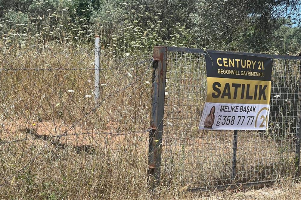 Bodrum Pınarlıbelen'de Yola Cepheli 7542m² İncirli Tarla Satılık