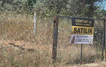 Bodrum Pınarlıbelen'de Yola Cepheli 7542m² İncirli Tarla Satılık