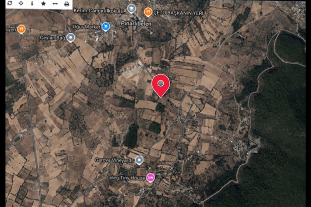 Bodrum Pınarlıbelen'de Yola Cepheli 7542m² İncirli Tarla Satılık