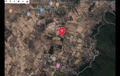 Bodrum Pınarlıbelen'de Yola Cepheli 7542m² İncirli Tarla Satılık