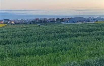 CELALİYE'DE DENİZ MANZARALI, DEĞER KAZANMA POTANSİYELİ YÜKSEK TARLA