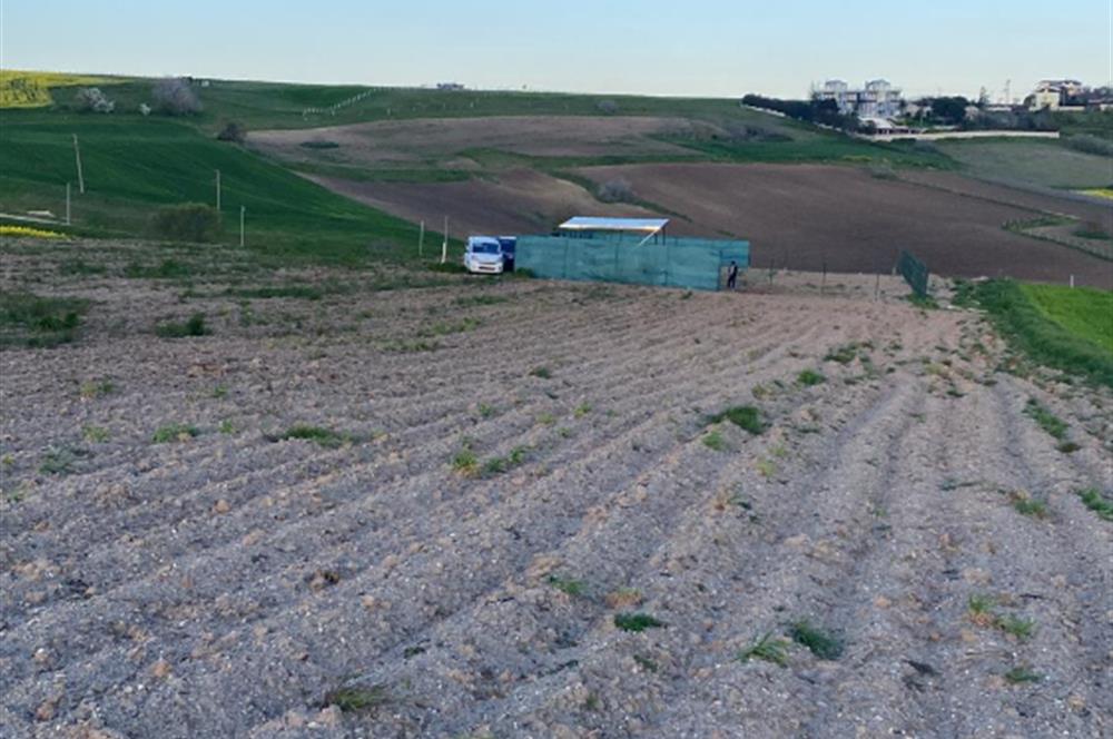 CELALİYE'DE DENİZ MANZARALI, DEĞER KAZANMA POTANSİYELİ YÜKSEK TARLA