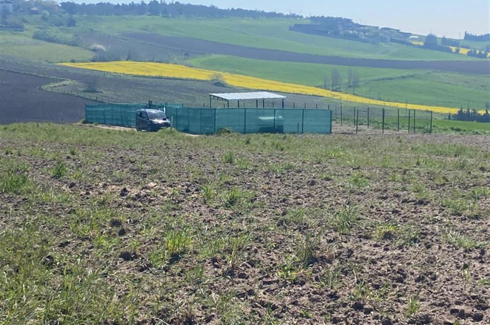 CELALİYE'DE DENİZ MANZARALI, DEĞER KAZANMA POTANSİYELİ YÜKSEK TARLA