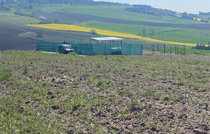 CELALİYE'DE DENİZ MANZARALI, DEĞER KAZANMA POTANSİYELİ YÜKSEK TARLA