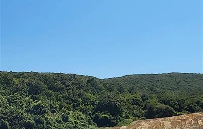 Çatalca'nın Gelişen Bölgesinde Satılık 1.070 m² hisseli Tarla
