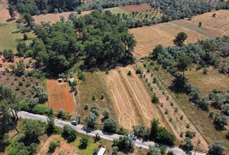 Bodrum Pınarlıbelen'de Yola Cepheli 7542m² İncirli Tarla Satılık - 2 - 34742