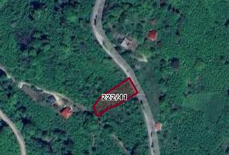 CENTURY21'DEN PERŞEMBE SARAY'DA 1372m² SATILIK FINDIK BAHÇESİ!! - 11 - 34759