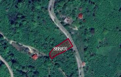 CENTURY21'DEN PERŞEMBE SARAY'DA 1372m² SATILIK FINDIK BAHÇESİ!!