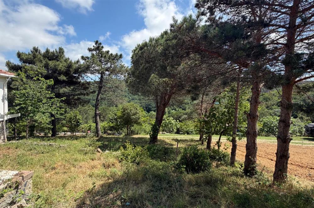 GÜMÜŞDERE'DE 3 DÖNÜM İÇİNDE ÇİFTLİK EVİ