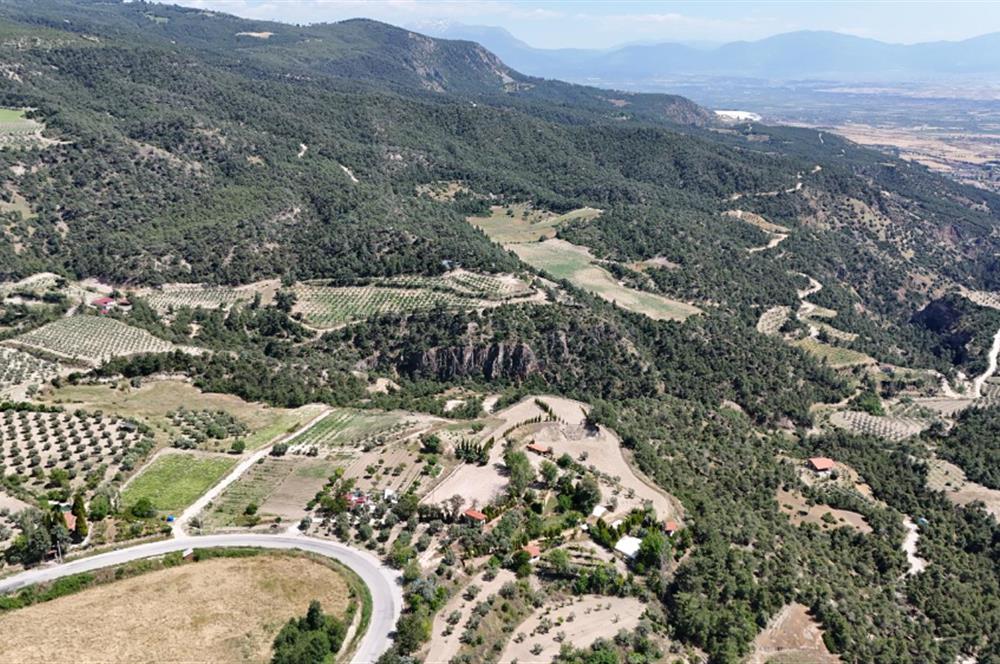 PAMUKKALE'DE RESTORAN VE SOSYAL TESİS İMARLI SATILIK ARSA
