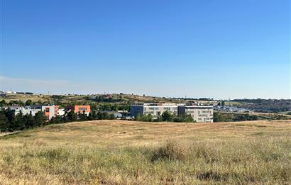 TUZLA TEPEÖREN OKAN ÜNİVERSİTE YANI 293m² HİSSELİ SATILIK TARLA