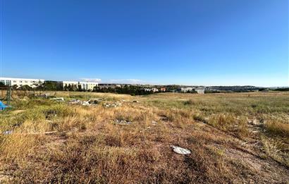 TUZLA TEPEÖREN OKAN ÜNİVERSİTE YANI 293m² HİSSELİ SATILIK TARLA
