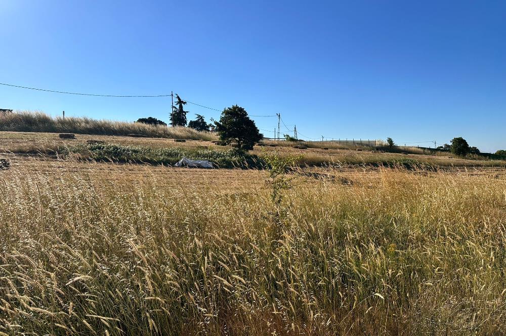 TUZLA TEPEÖREN VERA LİFE VİLLA YANI 247m²KONUT İMAR HİSSELİARSA