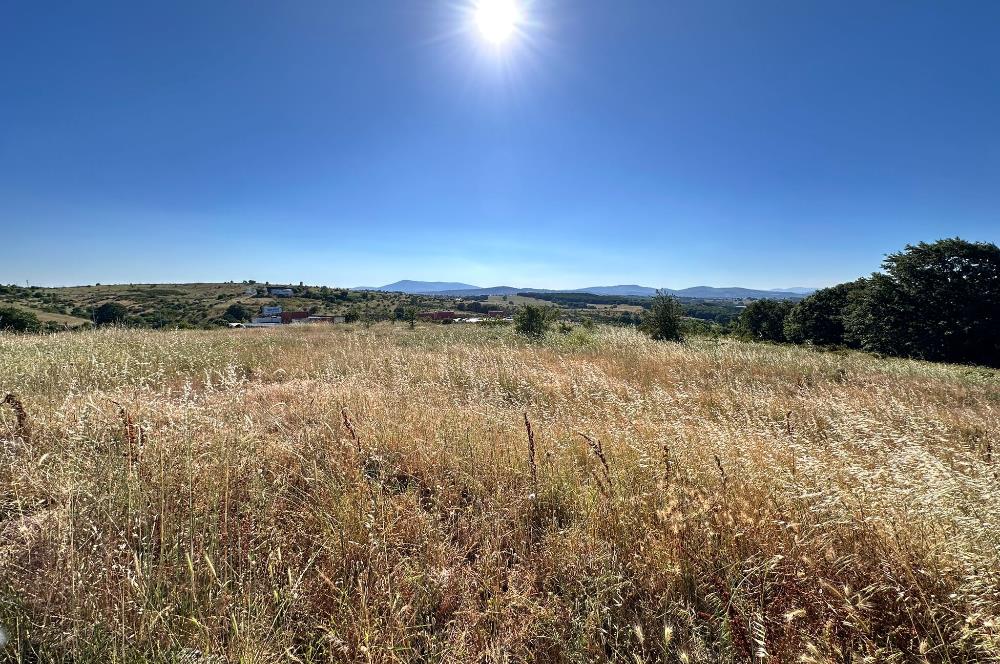 TUZLA TEPEÖREN OKAN ÜNİVERSİTE YANI 440m²TİCARİ İMAR HİSSELİARSA