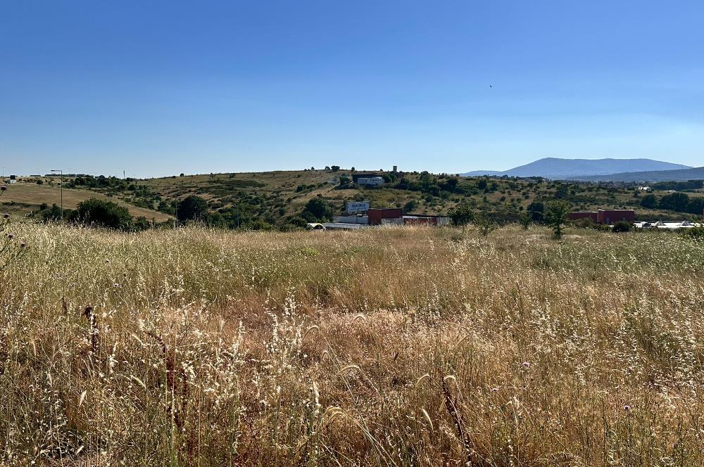 TUZLA TEPEÖREN OKAN ÜNİVERSİTE YANI 440m²TİCARİ İMAR HİSSELİARSA