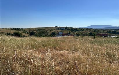 TUZLA TEPEÖREN OKAN ÜNİVERSİTE YANI 440m²TİCARİ İMAR HİSSELİARSA