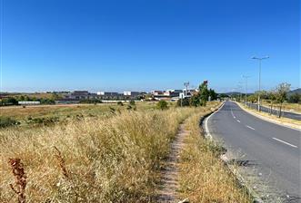 TUZLA TEPEÖREN OKAN ÜNİVERSİTE YANI 440m²TİCARİ İMAR HİSSELİARSA - 8 - 34842