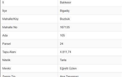 C21 Bal'dan Bigadiç Bozbük Mahallesinde Satılık Tarla