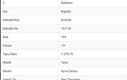 C21 Bal'dan Bigadiç Bozbük Mahallesinde Satılık Tarla